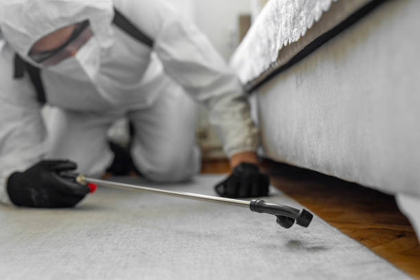 Professional Bed Bug Control technician working in Imperial County County, CA